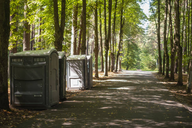 Best Porta potty rental for parties  in Rosendale, WI